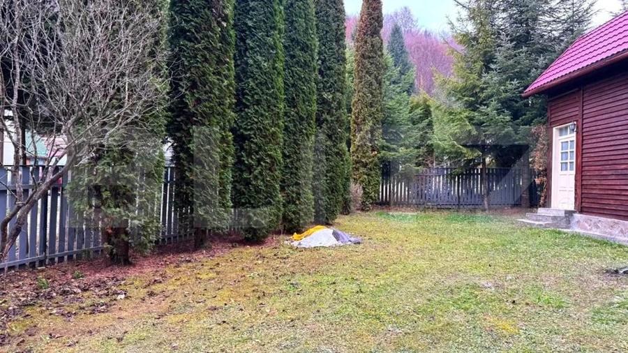 VAND CASA DE VACANTA LA COLIBITA, CU VEDERE SPRE LAC - 6
