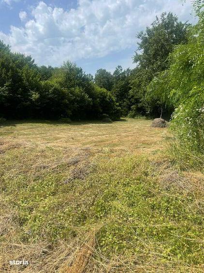 Teren extravilan de vanzare -faneata - 4