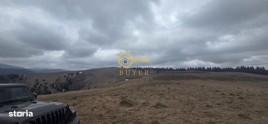 Teren investitie Paltinis - 6