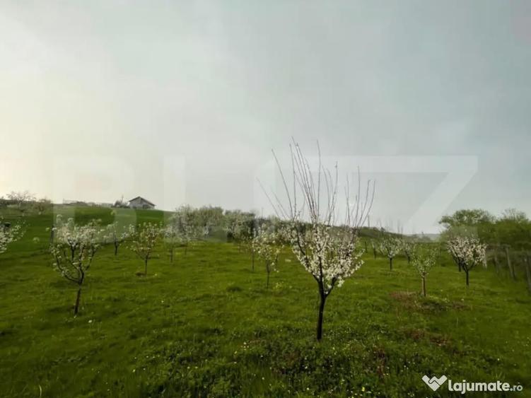 Teren intravilan 4447 mp, Pielesti. 28 ml deschidere - 7