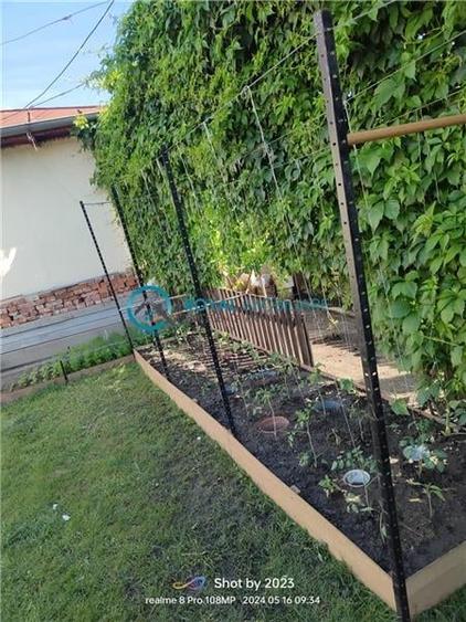 Royal Imobiliare - Vanzare Vila zona Dorobantul - 20