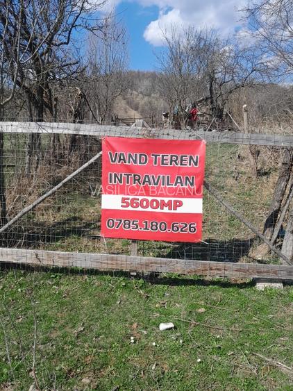 Vind teren in Slanic Prahova.