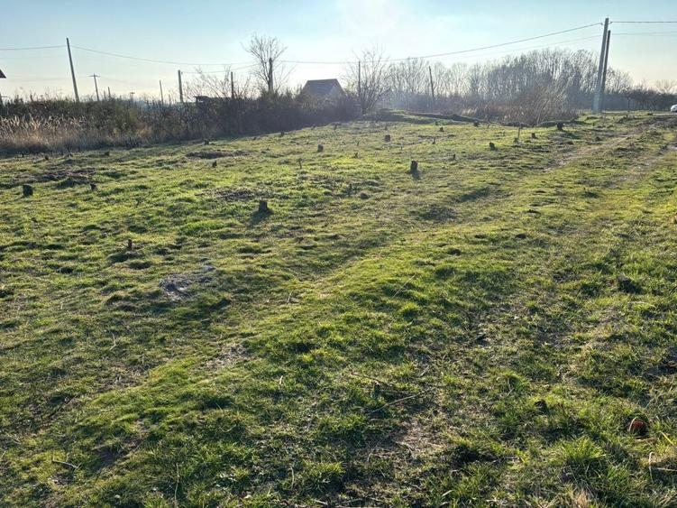 Vand Teren Mosoaia. - 5