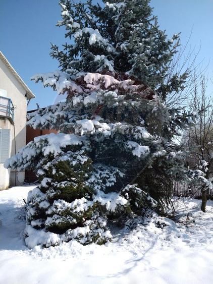 DE VANZARE Casă / Vilă cu 6 camere în Popesti-Leordeni - 44