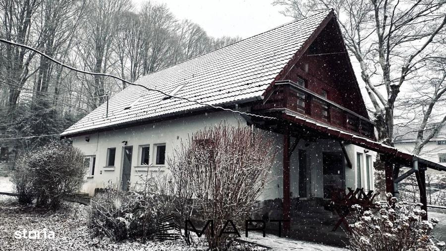 Casa de vacanta cu teren 2000mp Valea Avrigului - 8