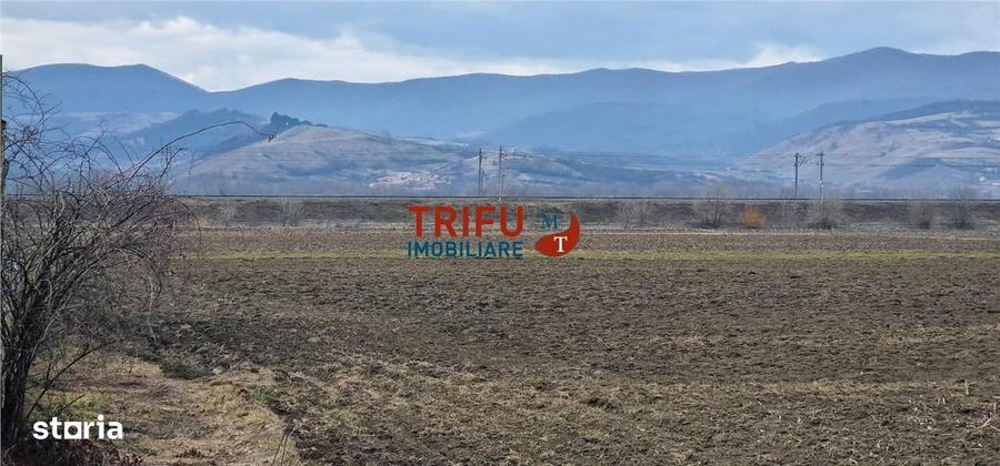 Teren de vanzare zona industriala - 4