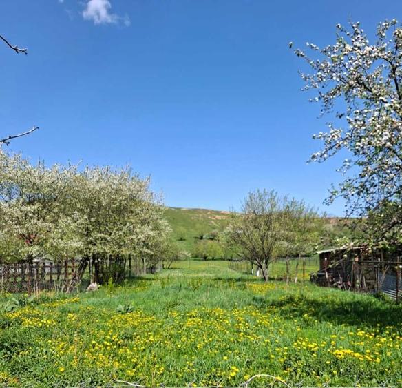 Casa de vanzare in Paltinoasa Suceava - 3