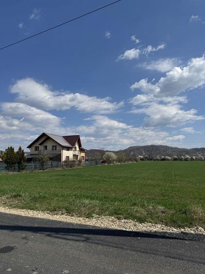 Teren de vanzare - 6