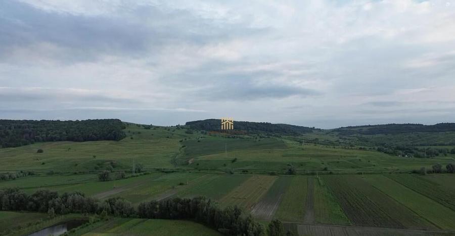 Teren 3953 mp Falticeni Tarna Mare De 0727817187 - 1