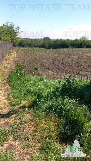 Teren Stanesti - Giurgiu, intravilan, drum asfaltat, gaz, curent - 3