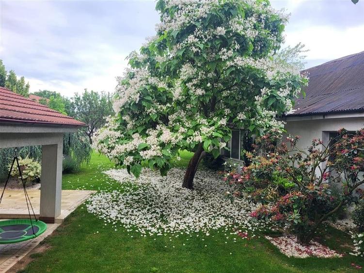 RECO  Casa Moderna  in Cartierul  Episcopia - 5