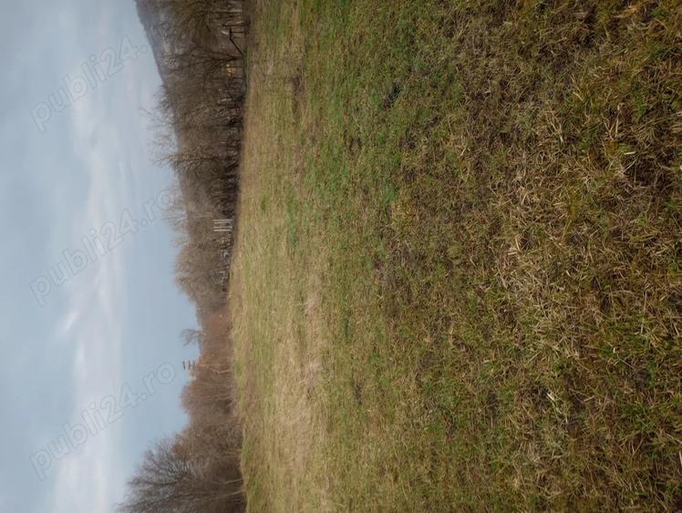 Vand Casa, Paulean jud.Arad - 5