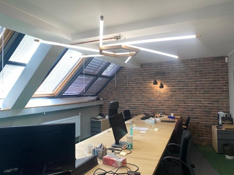 Cismigiu-Mircea Vulcanescu - 5