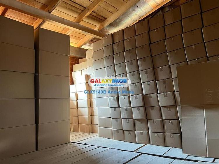 Inchiriere hala industriala Moara Vlasiei 2 IMOBILE - 13