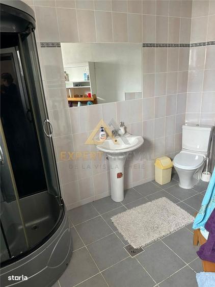 Casa spectaculoasa , Str Branduselor Baia Mare - 2