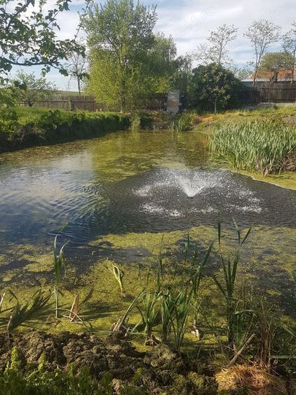 Casa cu iaz jud Teleorman - 5