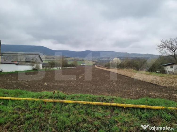 Parcela 800 mp intravilan Arcalia, toate utilitatile - 2