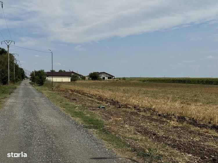 Teren intravilan , acces pavat si ilumiant public - 3