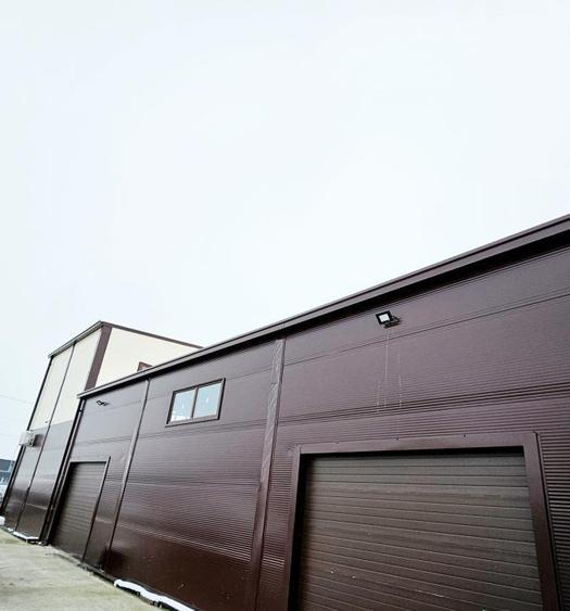 Hala, Mosnita Noua - 2