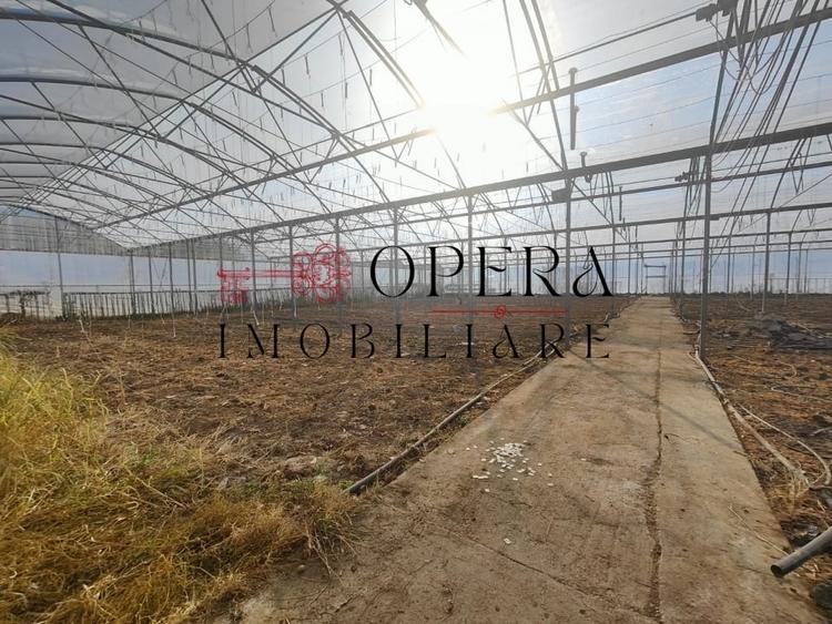 Teren intravilan 5000mp+Cladire265mp + Sera(2500mp), Rediu Aldei-Aroneanu - 4