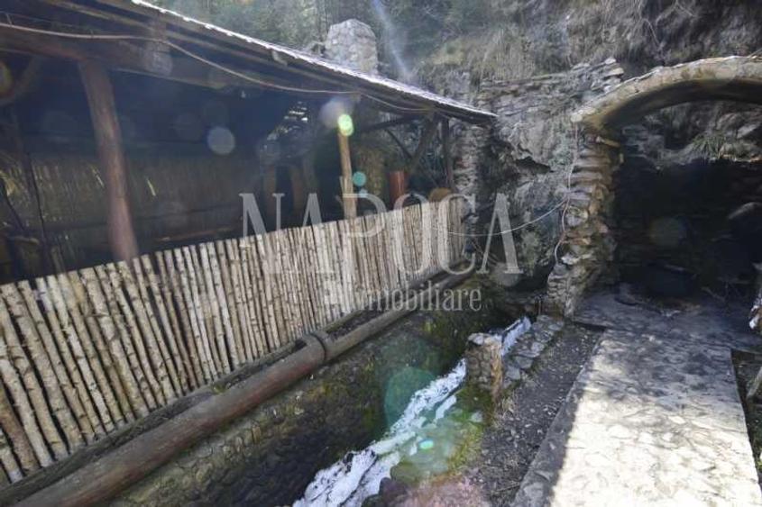 Casa 9 camere de vanzare in Sat Cerc, Valea Ierii - 14