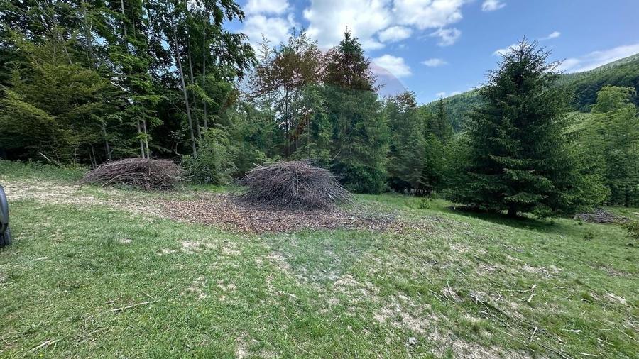 Teren 8500 mp, Valea Dalghiului - Dalghiu - vedere catre Ciucas - 17