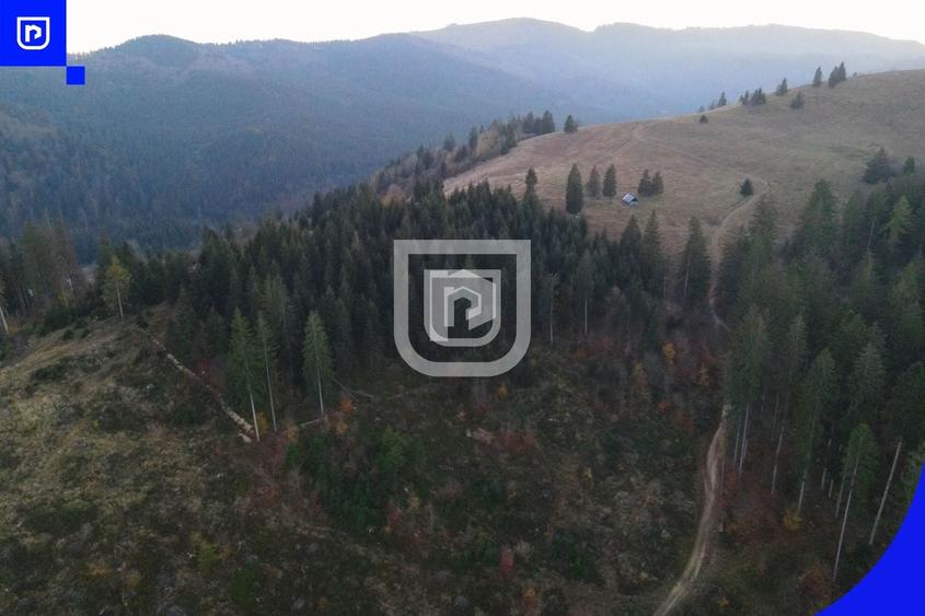 Teren situat in Frasin | BUCOVINA - 6