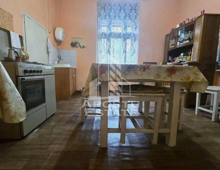 Proprietate cu potential turistic in Gurahont - 1