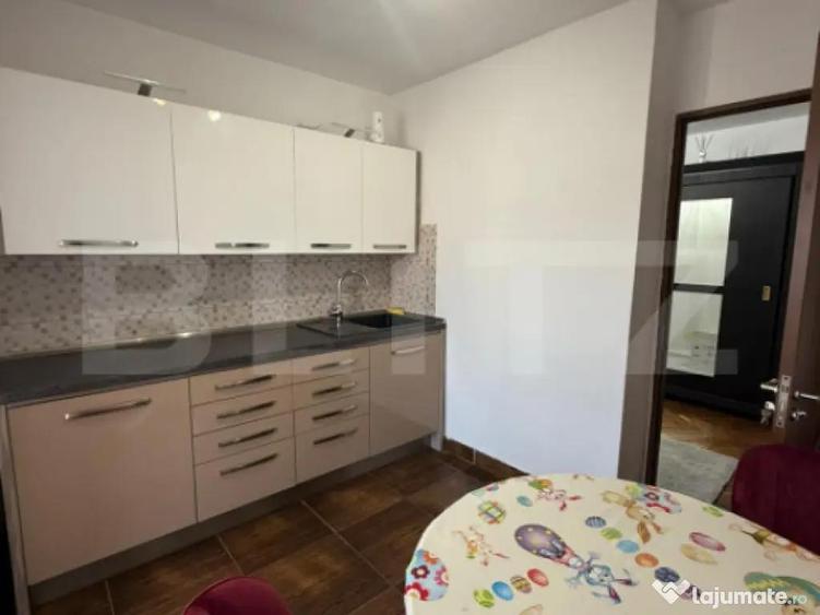 Apartament cu 2 camere, decomandat, Corneliu Coposu - 4