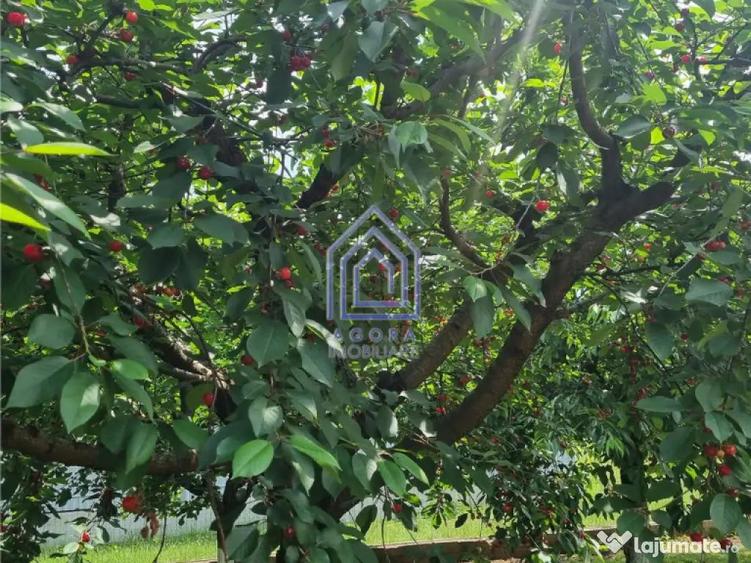 Vila de 200 mp cu anexe 40 mp si teren 1600 mp - 8