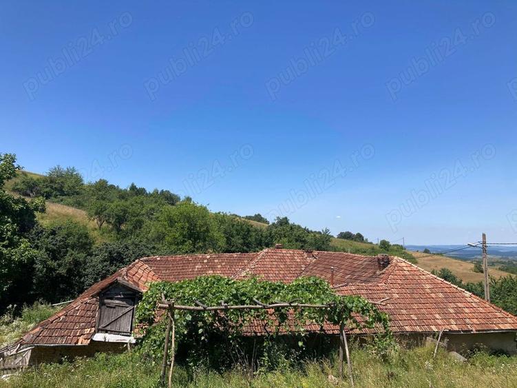 Se vinde casa bunicilor - 9