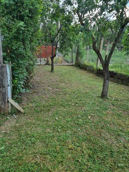 Casa de vanzare ocna mures - 8