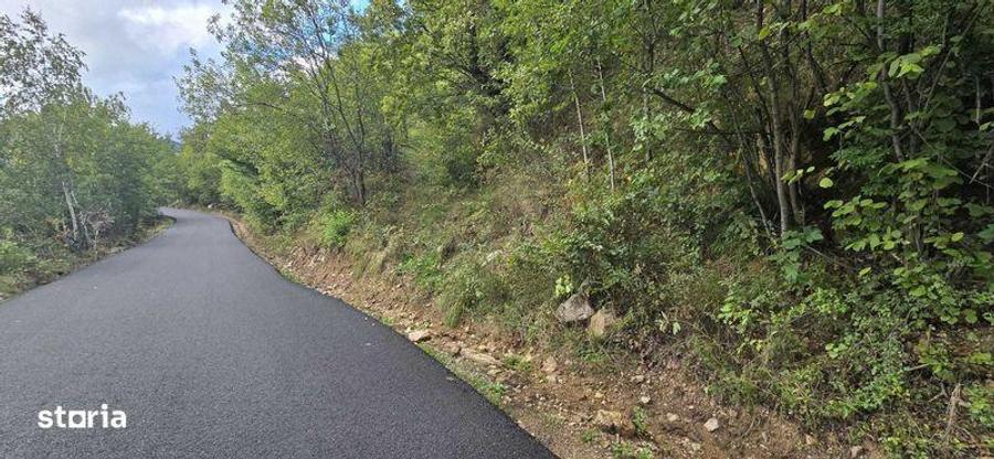 Vand teren intravilan la Muntele Rece - 5