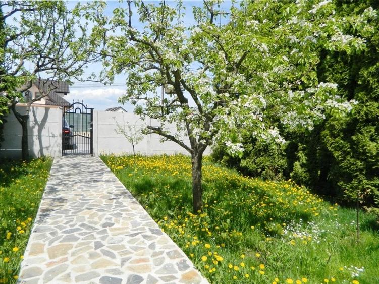 apartament in  Vila , 4 camere + teren 232 mp - 4