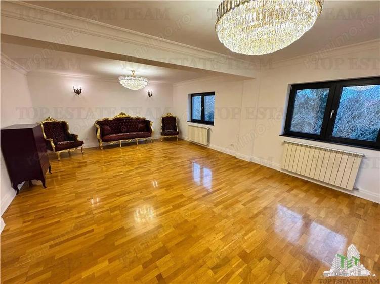 Vila pretabila rezidenta office Iancu Nicolae - 17