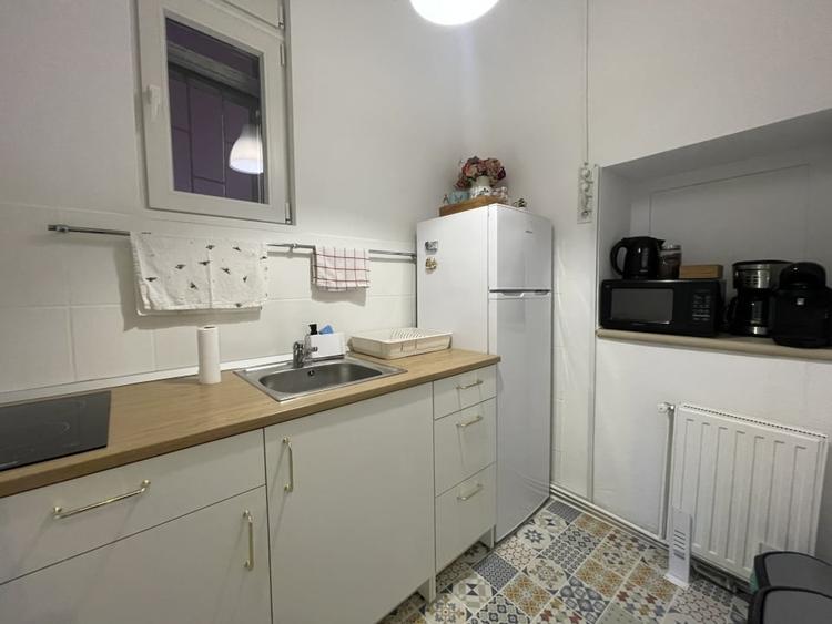 Apartament istoric in Piata Iosefin Amenajat pentru Booking/AirBnb - 4