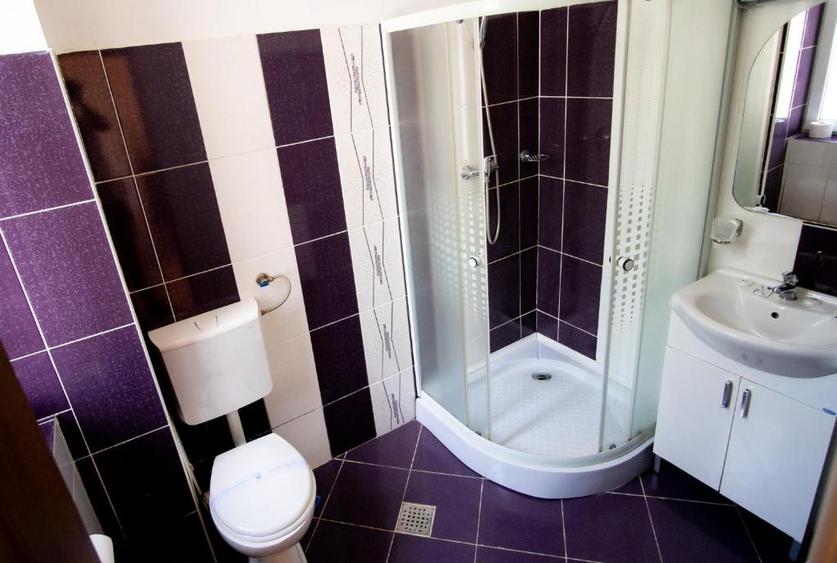 Vanzare Vila Panseluta - Pensiune/Vila turistica deosebita Pucioasa - 12