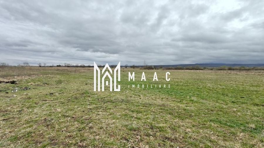 Teren extravilan I 2400 mp I Arabil I Teren drept I Cristian - 4