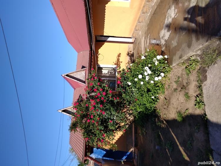 casa de vanzare - 1