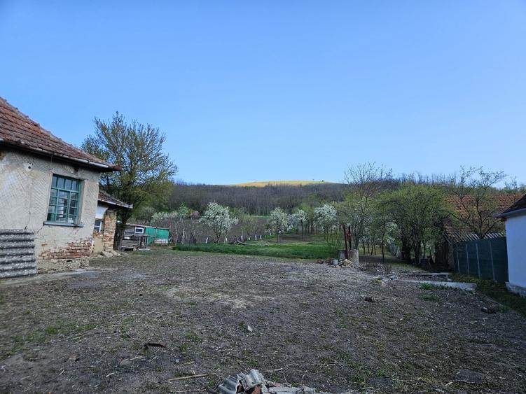 Casa cu teren de vanzare - 7