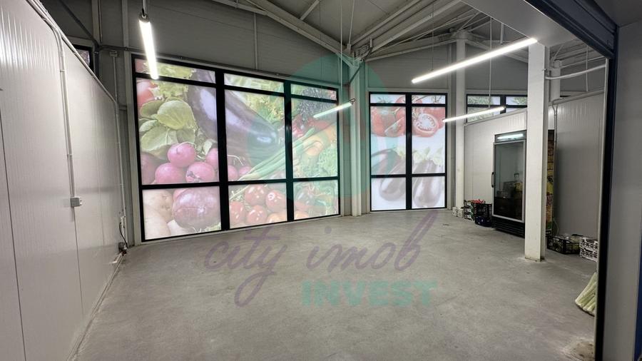 Spatii comerciale de inchiriat in PIATA DELFINULUI - 7