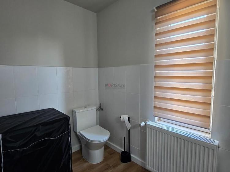 Vadul Anei, Branesti prima inchiriere, vila + 500 mp teren - 10