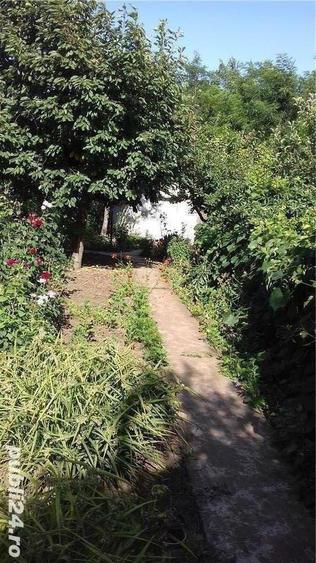 Casa cu teren in suprafata de 6.800m2 - 9