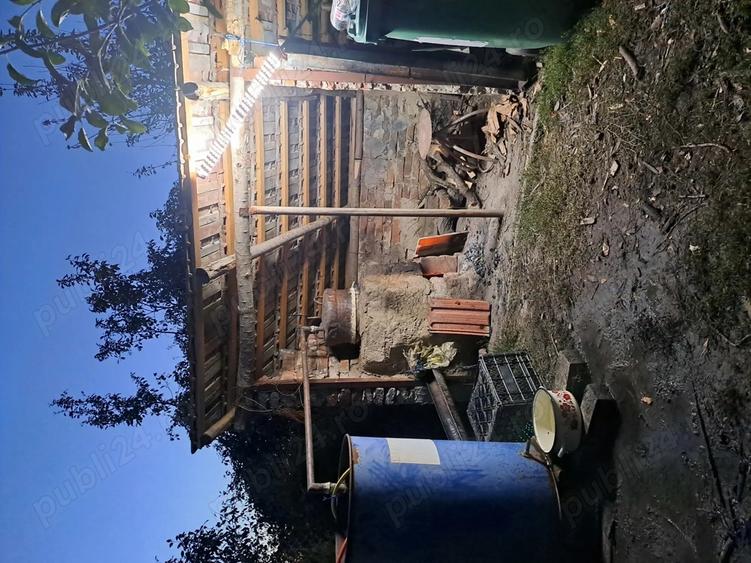 Vind casa in Bazosu Nou - 5