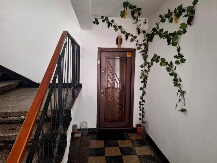 Apartament cu doua camere la parter in Bistrita - 2