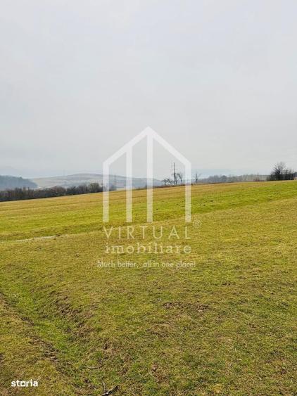 Teren intravilan de vanzare in Sibiu Talmaciu, 859 mp - 4