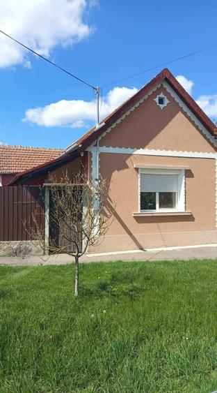 Casa 3 camere Salonta - 2