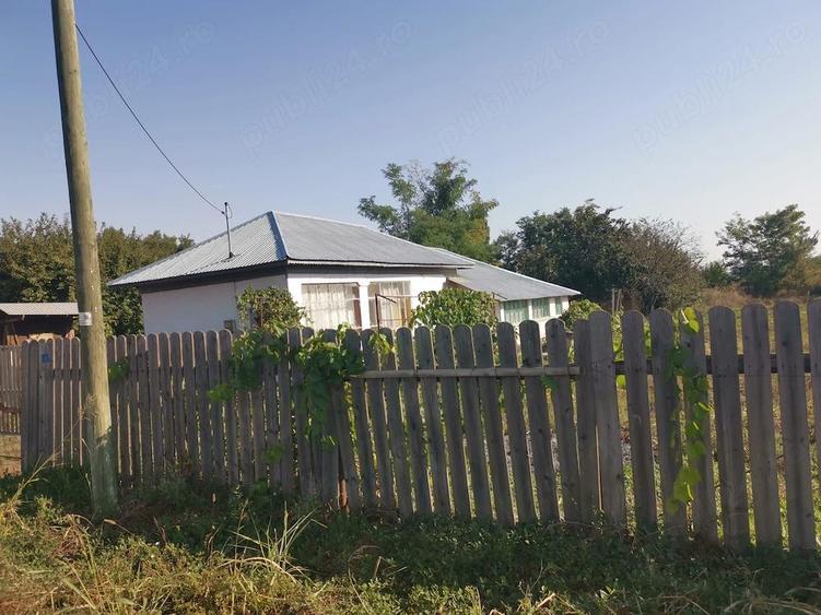 Casa de vanzare Valea Popii Radovanu - 7