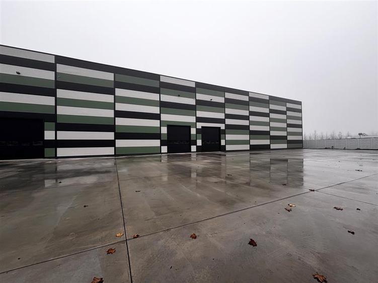 Hala Industriala Noua 2025 – Acces Rapid la Autostrada  - 7000 mp - 6