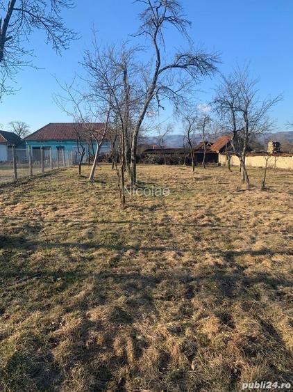 Vand teren pentru casa,intravilan